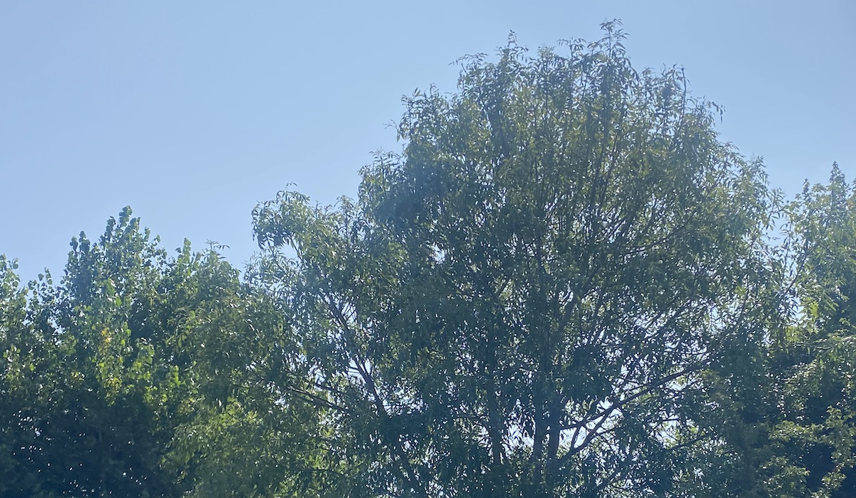 15 activiteiten op 15 augustus