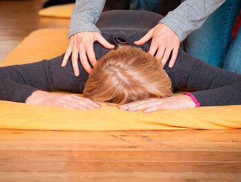 Shiatsu basisdag