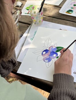 Workshop aquarel zomer