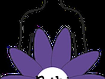 Cursus    Reiki weekend inwijding eerste
graad