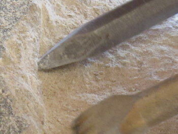 Workshop steenkappen