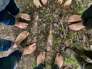 Bosbad in de dans van de lente in
Mortagnebos Zwevegem