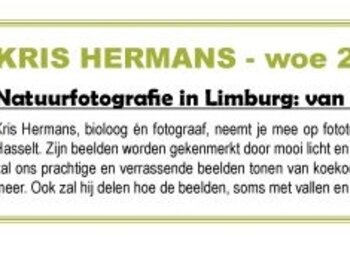 Lezing: Natuurfotografie in Limburg: Van
koekoek tot steenuil
