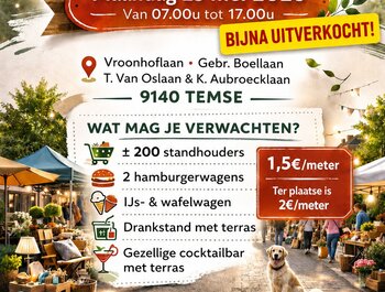 Rommelmarkt vroonhof
temse
