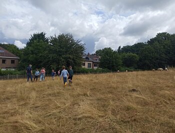 Zomerkamp op de
boerderij