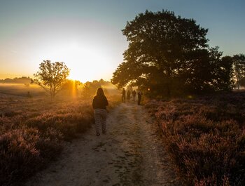 MaasMauve Heidedagen - Workshop
Landschapsfotografie