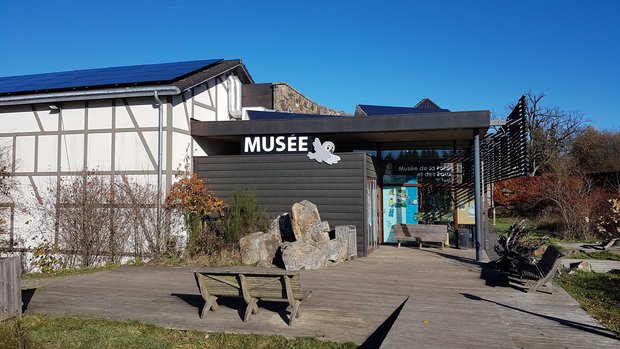 Tentoonstellingen Bos-en Watermuseum Noé 