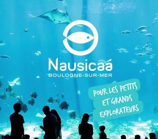 Ontspanning Nausicaa