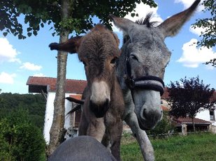 Ontspanning Loop een ne