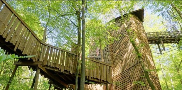 Ontspanning Chlorofylpark