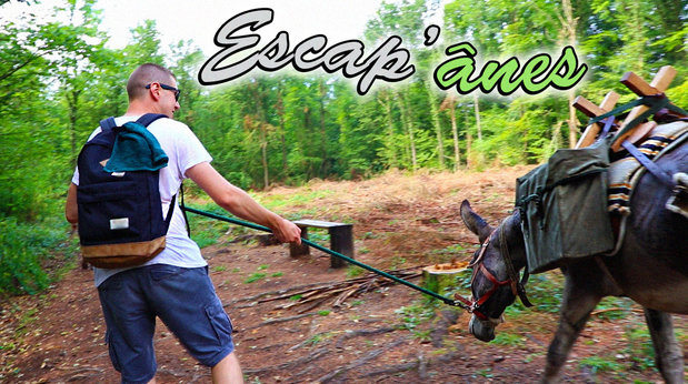 Ontspanning Escap  nes Famenne - Ardennen