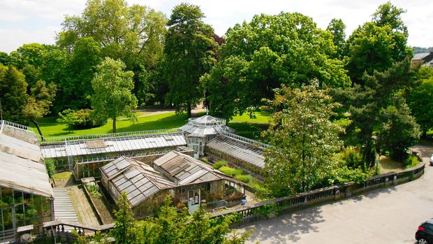Ontspanning Bezoek de kassen de botanische tuin