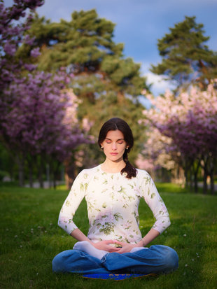 Workshops Falun Dafa, Gratis Meditatie Workshops - Citadelpark