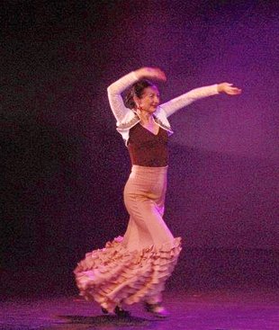 Workshops Flamenco dansles