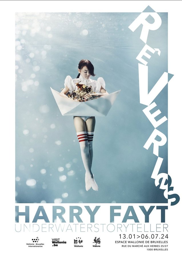 Tentoonstellingen "Rveries' - duik de onderwaterwereld Harry Fayt