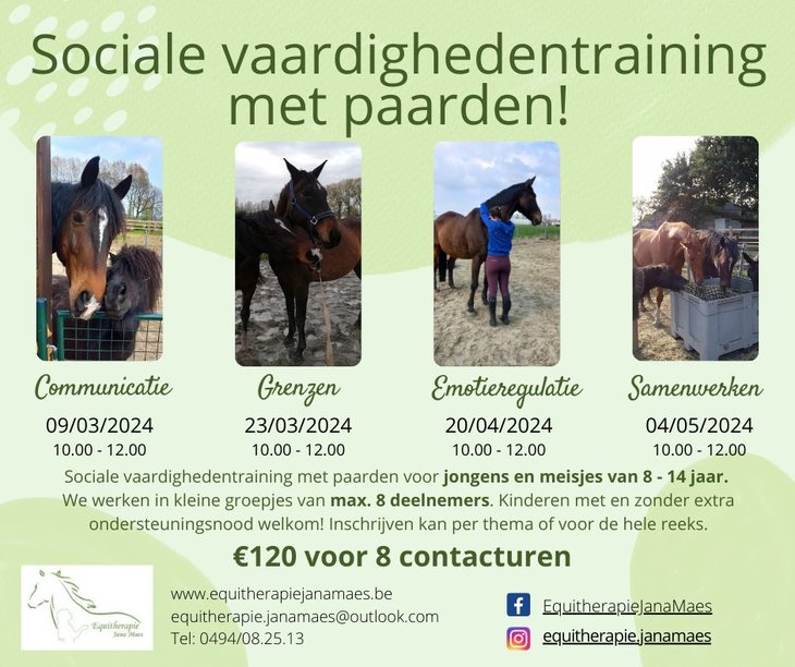 Workshops Sociale vaardighedentraining paarden