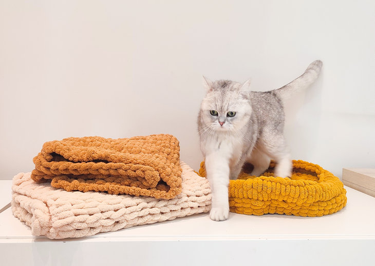 Workshops Workshop handbreien:  maak eigen kattenmand