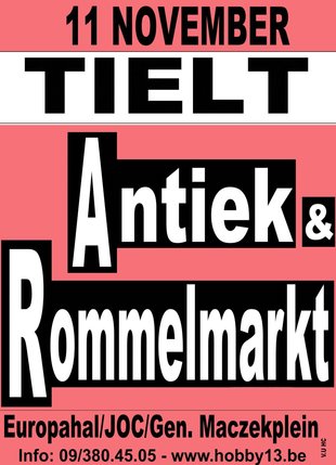  Antiek & Rommelmarkt Tielt