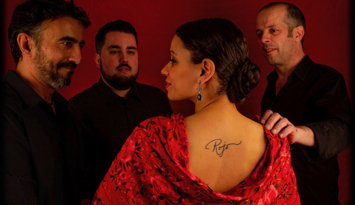 Voorstellingen Verjaardagsvoorstelling: Flamenco 