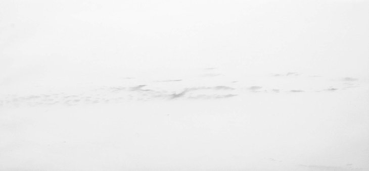 Tentoonstellingen ric Fourez - de sporen de Noordzee... /Carte blanche voor Claude Lorent