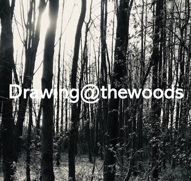 Workshops Drawing the woods