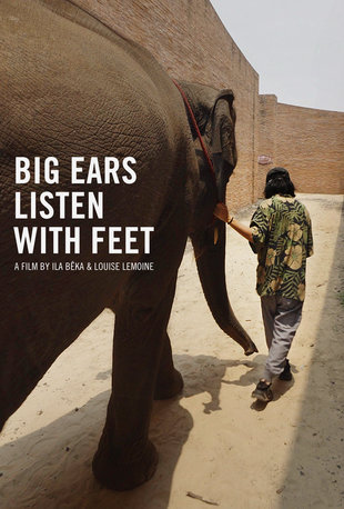 Voorstellingen Film  Ears Listen with Feet (met inleidend gesprek)