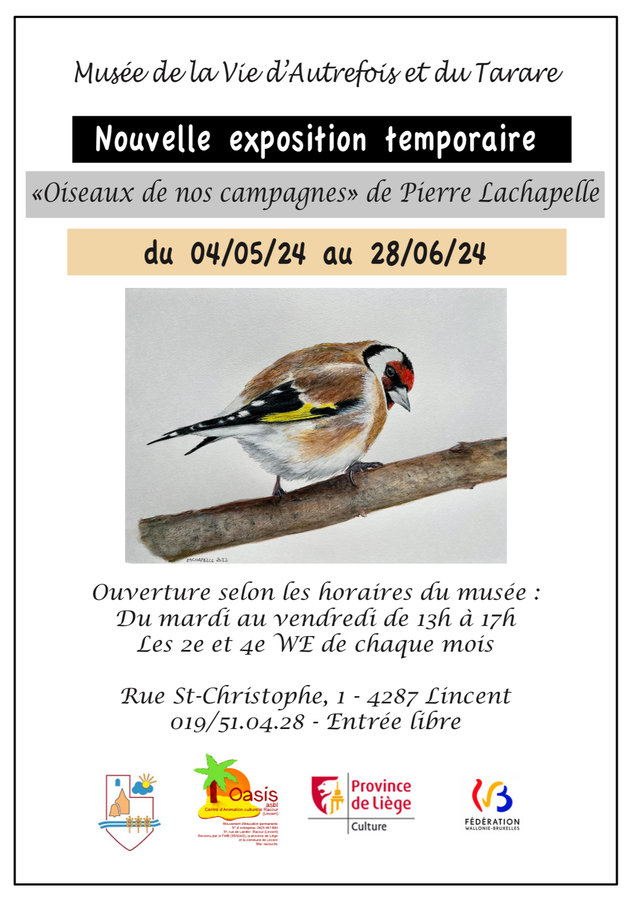 Tentoonstellingen Tekeningen vogels bij door Lachapelle