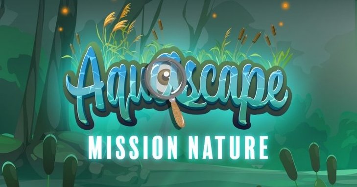 Ontspanning Aquascape