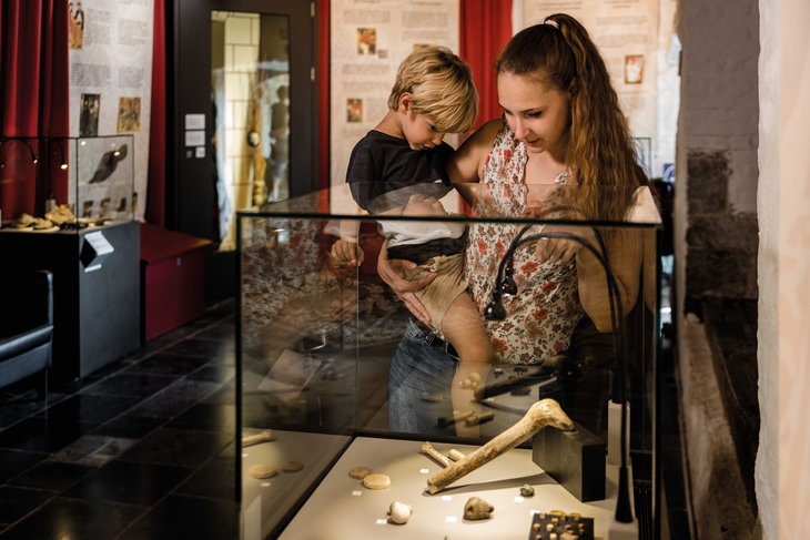 Tentoonstellingen Musea Logne - Domaine Palogne