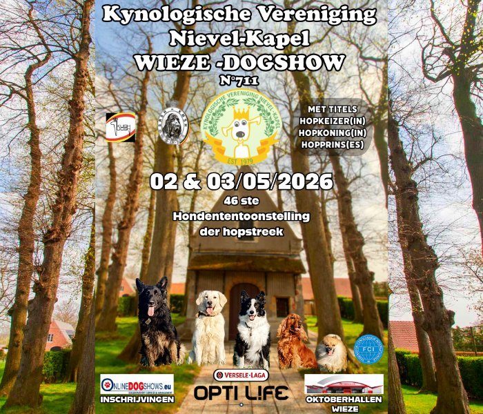 Tentoonstellingen Hondenshow