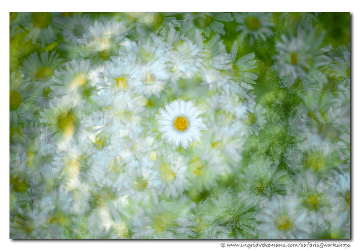 Workshops Workshop fotografie: meervoudige belichting