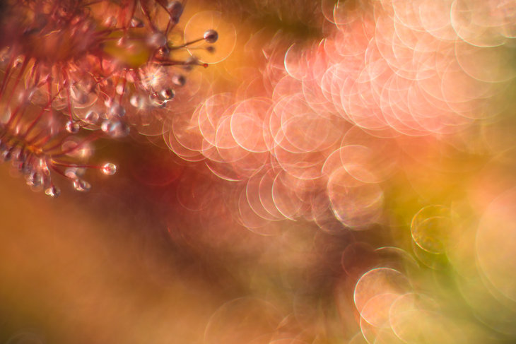 Workshops Workshop Zonnedauw