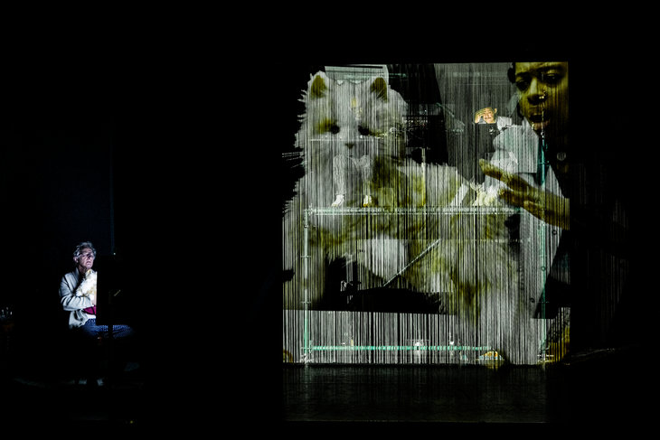 Voorstellingen Grysde - Eenzame Westen