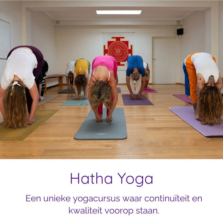 Workshops Gratis introles yoga