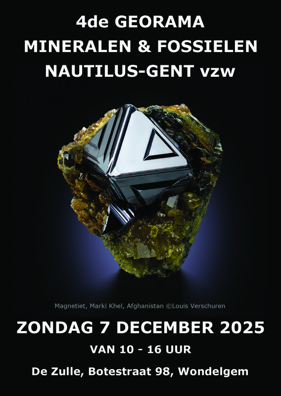 Tentoonstellingen Georama 4