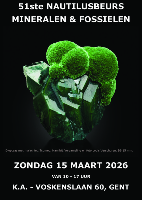 Tentoonstellingen 51ste Nautilusbeurs voor Mineralen Fossielen