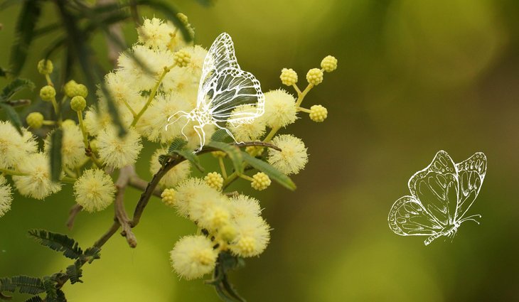 Workshops Hooggevoeligheid kracht - groeitraject 6 avonden