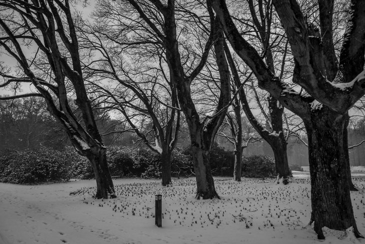Ontspanning Natuurwandeling: bomen zich voorbereiden de winter