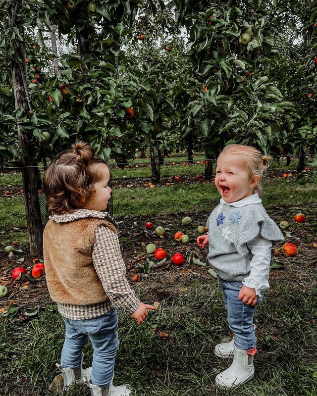 Ontspanning Zelfpluk appelen peren