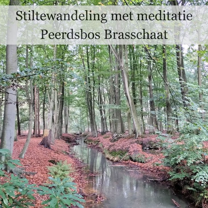 Ontspanning Stiltewandeling