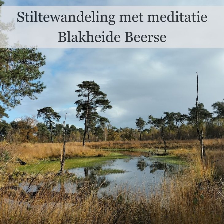 Ontspanning Stiltewandeling