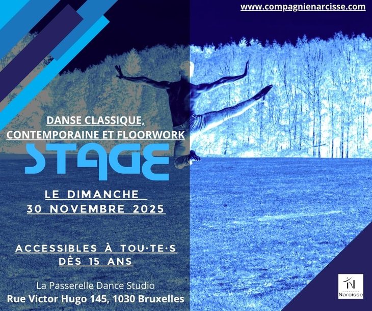 Workshops Dansstage klassiek ballet, hedendaagse dans floorwork