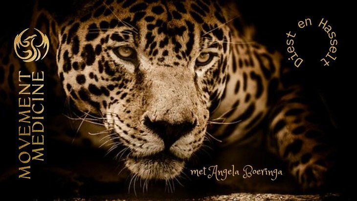 Workshops Awakening your Dancer | Movement Medicine