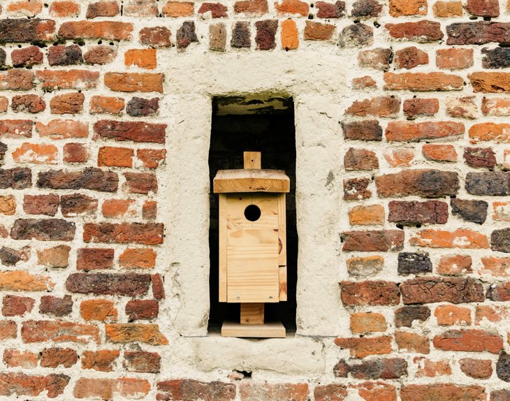 Workshops Vogelhuisje maken