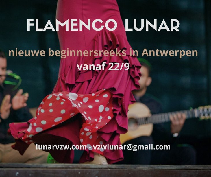 Workshops Flamenco dansles voor beginners