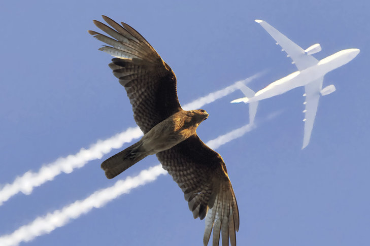 Tentoonstellingen Expo Flight