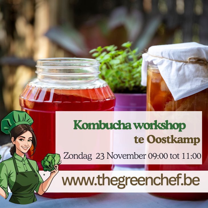 Workshops Kombucha Brouwen