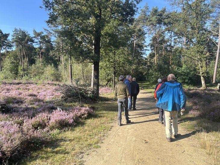 Ontspanning Winterwandelingen Kasterlee