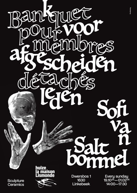 Tentoonstellingen Sofi Saltbommel - Beeldhouwkunst keramiek