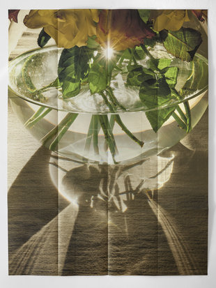 Tentoonstellingen Marc Blieck | Point voir